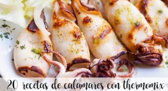 20 recetas con calamares con thermomix