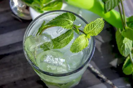 Receta de mojito en la Thermomix