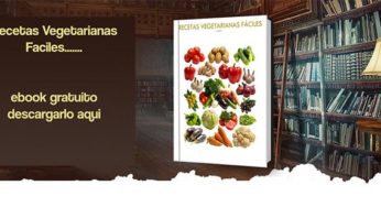 Recetas Vegetarianas Faciles en Thermomix – Libro Gratuito