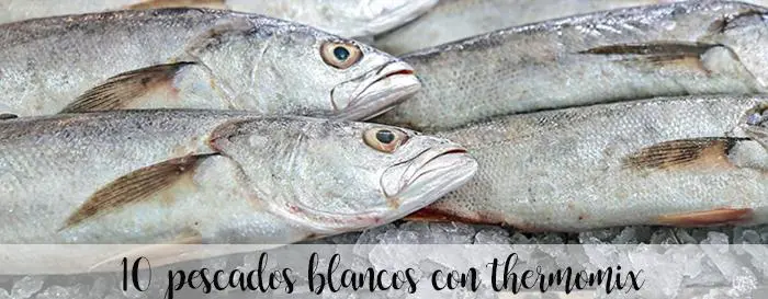 10 Recetas de pescado blanco con thermomix