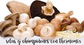 20 recetas con setas y champiñones con thermomix