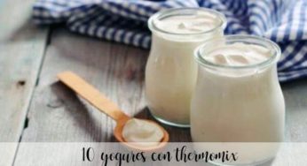 25 yogures con thermomix