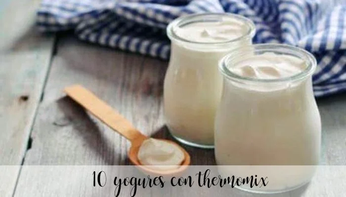 10 yogures con thermomix