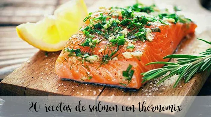 20 recetas de salmon con thermomix