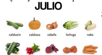 Frutas y verduras de temporada en JULIO