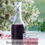 Licor de Moras con Thermomix