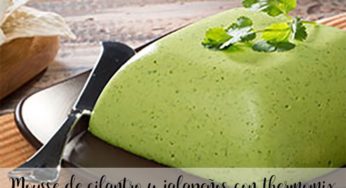 Mousse de cilantro y jalapeños con thermomix