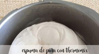 Espuma de Piña con Thermomix