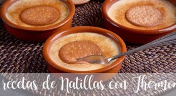 50 Recetas de Natillas con Thermomix