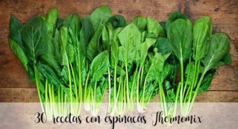 30 recetas con espinacas con thermomix