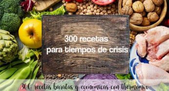 300 recetas para tiempos de crisis con thermomix