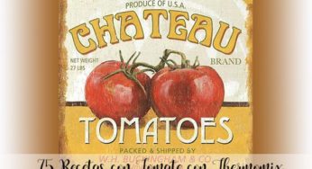 75 Recetas con Tomate con Thermomix