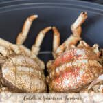 Centollo al Varoma con Thermomix
