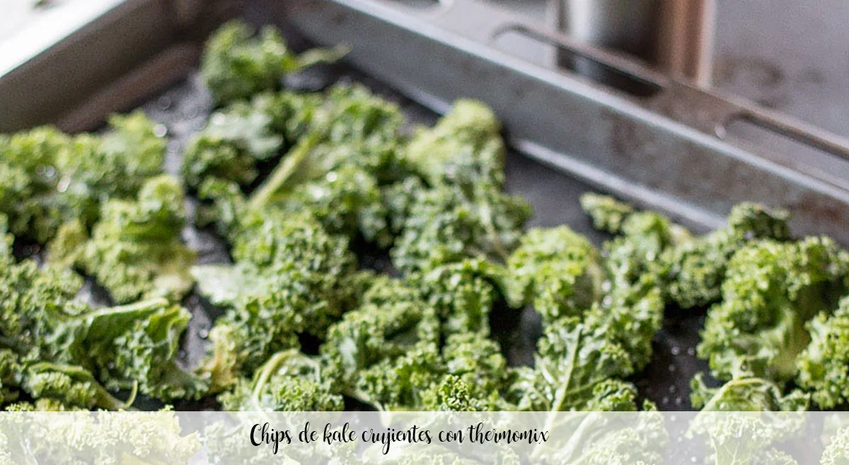 Chips de kale crujientes con thermomix