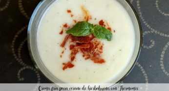 Crema fría para verano de hierbabuena con Thermomix