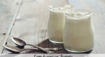 Crema de yogur con Thermomix