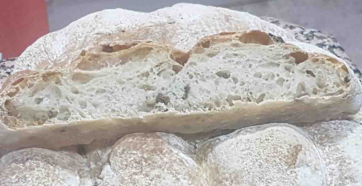 Hogaza de pan con aceitunas y oregano