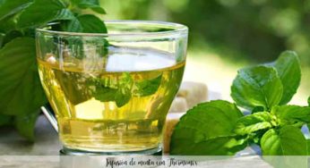 Infusión de menta con Thermomix