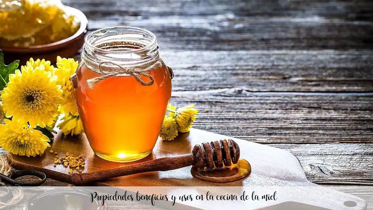 Propiedades, beneficios y usos en la cocina de la miel