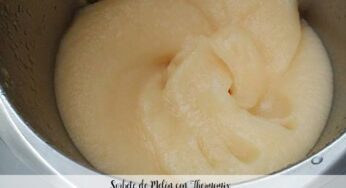 Sorbete de Melón con Thermomix