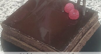 Tarta Sacher version frutos rojos y mousse con thermomix