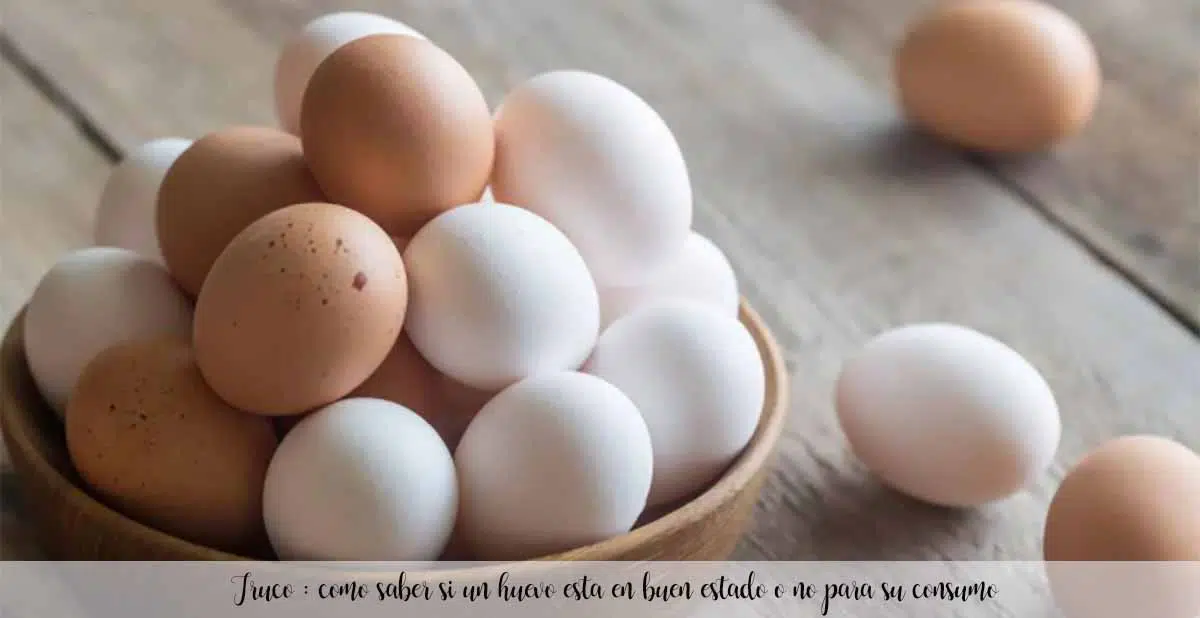 Truco : como saber si un huevo esta en buen estado o no para su consumo