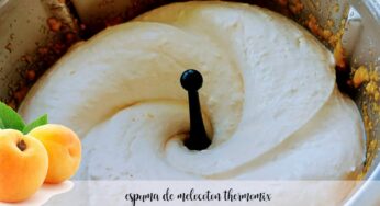 Espuma de melocotón con Thermomix