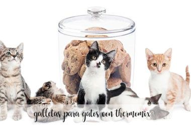 Galletas para gatos con Thermomix