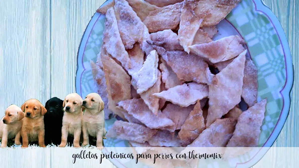 galletas proteinicas para perros con thermomix - Recetas para Thermomix
