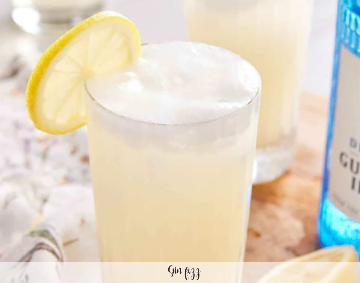 Gin Fizz thermomix