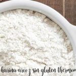 Harina de arroz sin Gluten con thermomix