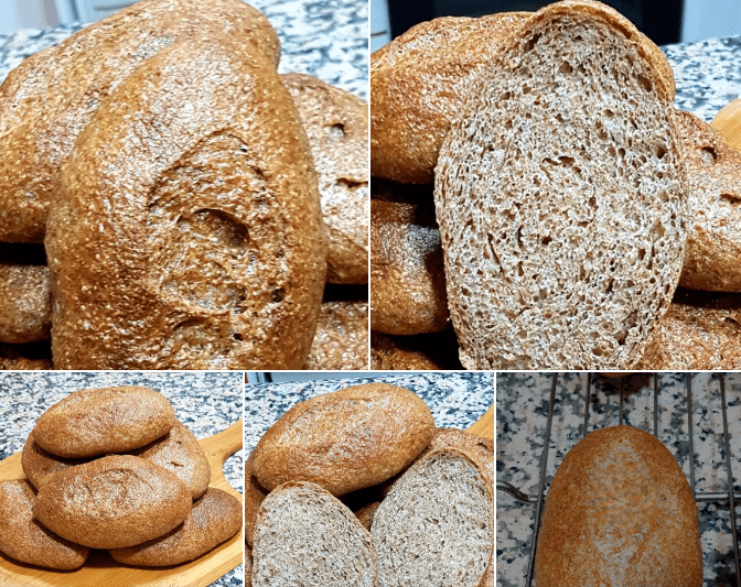 pulgas ó panecillos 100% integrales con thermomix