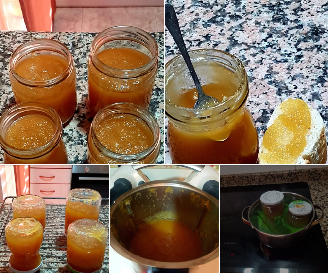 mermelada de manzanas con thermomix