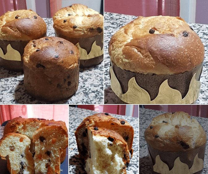 Panettone de pasas, orejones y chocolate con thermomix
