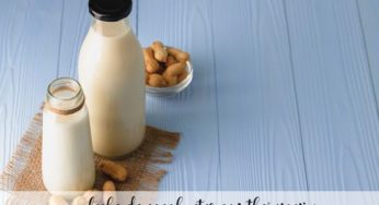 leche de cacahuetes con thermomix