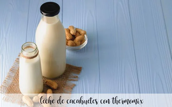 leche de cacahuetes con thermomix