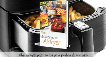 Libro gratuito PDF – Recetas para freidora DE AIRE sin aceite – air fryer