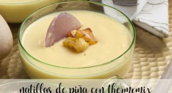 Natillas de piña natural con thermomix