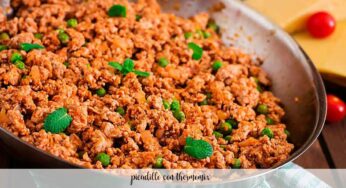 Picadillo con thermomix