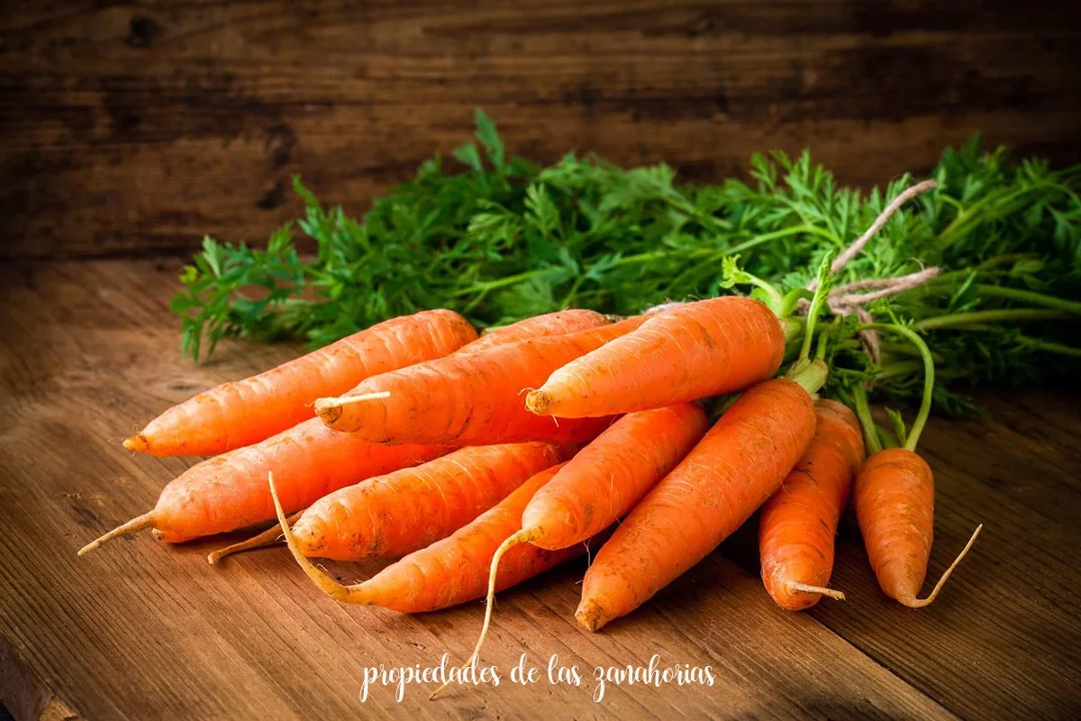 propiedades de las zanahorias