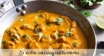 25 Recetas con curry con thermomix