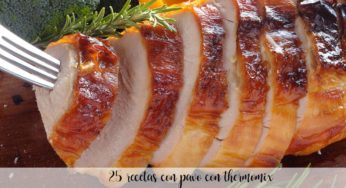 25 recetas de pavo thermomix