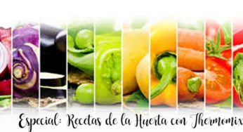 Especial: Recetas de la Huerta con Thermomix