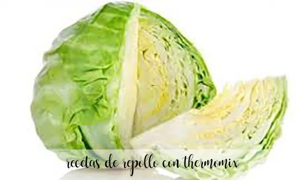 15 recetas de repollo con thermomix