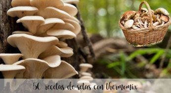 50 recetas de setas con thermomix