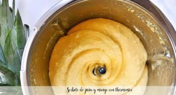 Sorbete de piña y mango con thermomix